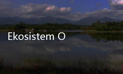 Ekosistem Ojol Rumit, Menhub Serukan Aturan yang Hati