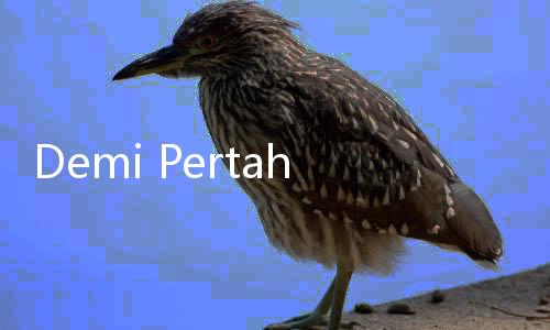Demi Pertahankan KJP Tahun Depan, DPRD