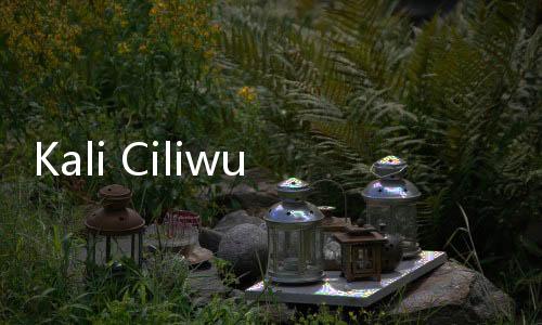 Kali Ciliwung Meluap, Permukiman Warga Kebon Pala Terendam Banjir