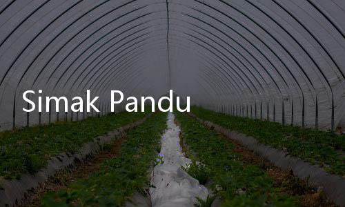 Simak Panduan Cara Cek NIP PPPK dan CPNS 2025 Lewat ASN Digital BKN
