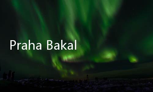 Praha Bakal Larang Kegiatan di Bar Larut Malam, Turis Tak Bisa Pesta