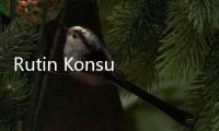 Rutin Konsumsi Telur Menurunkan Risiko Mati Muda, Bikin Umur Panjang