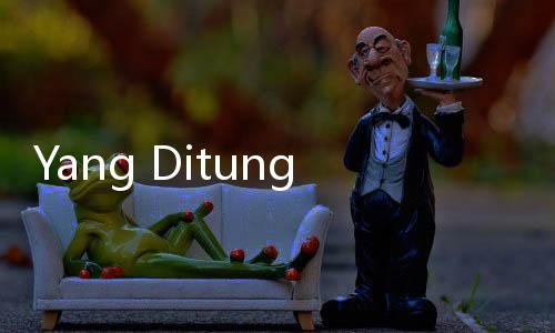 Yang Ditunggu