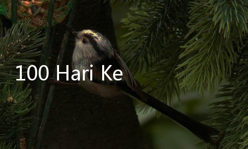 100 Hari Kerja Prabowo